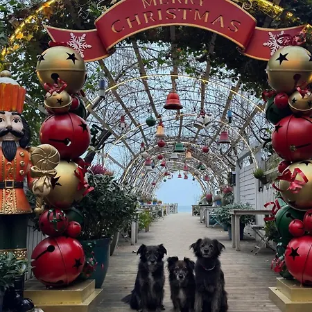 De Luxurious -baltic Riviera Apartmán